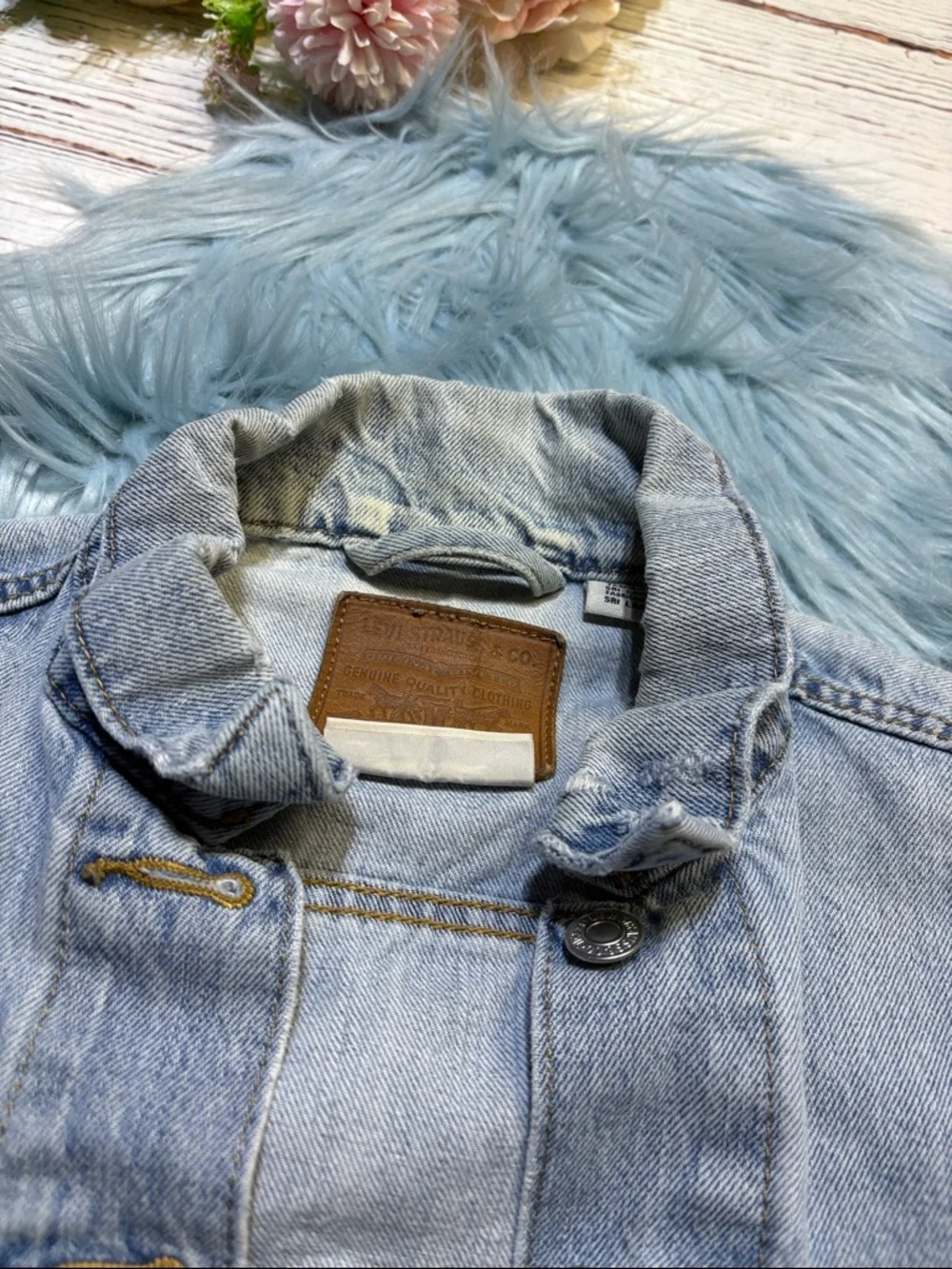Levis levi light