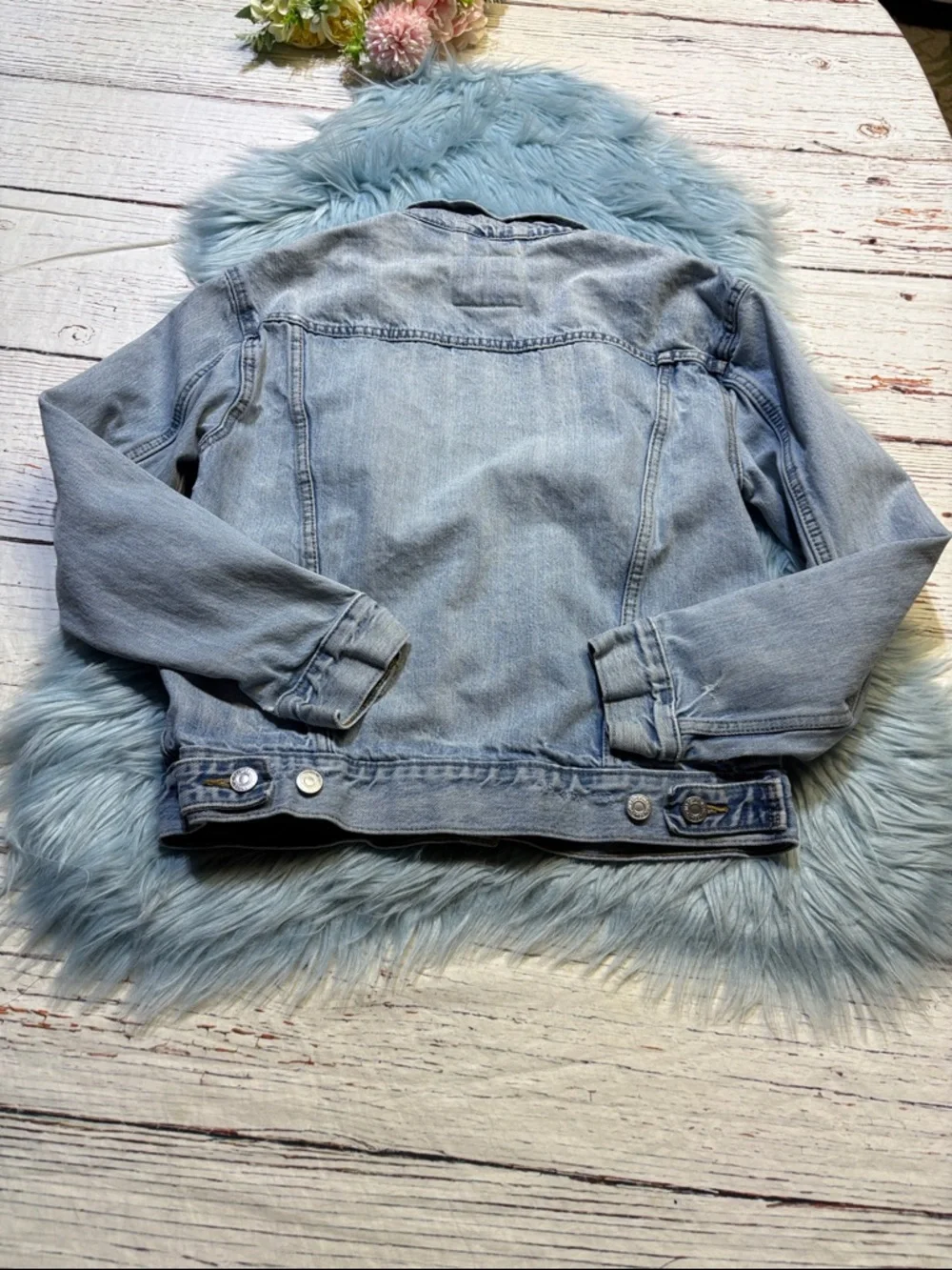 Levis levi light