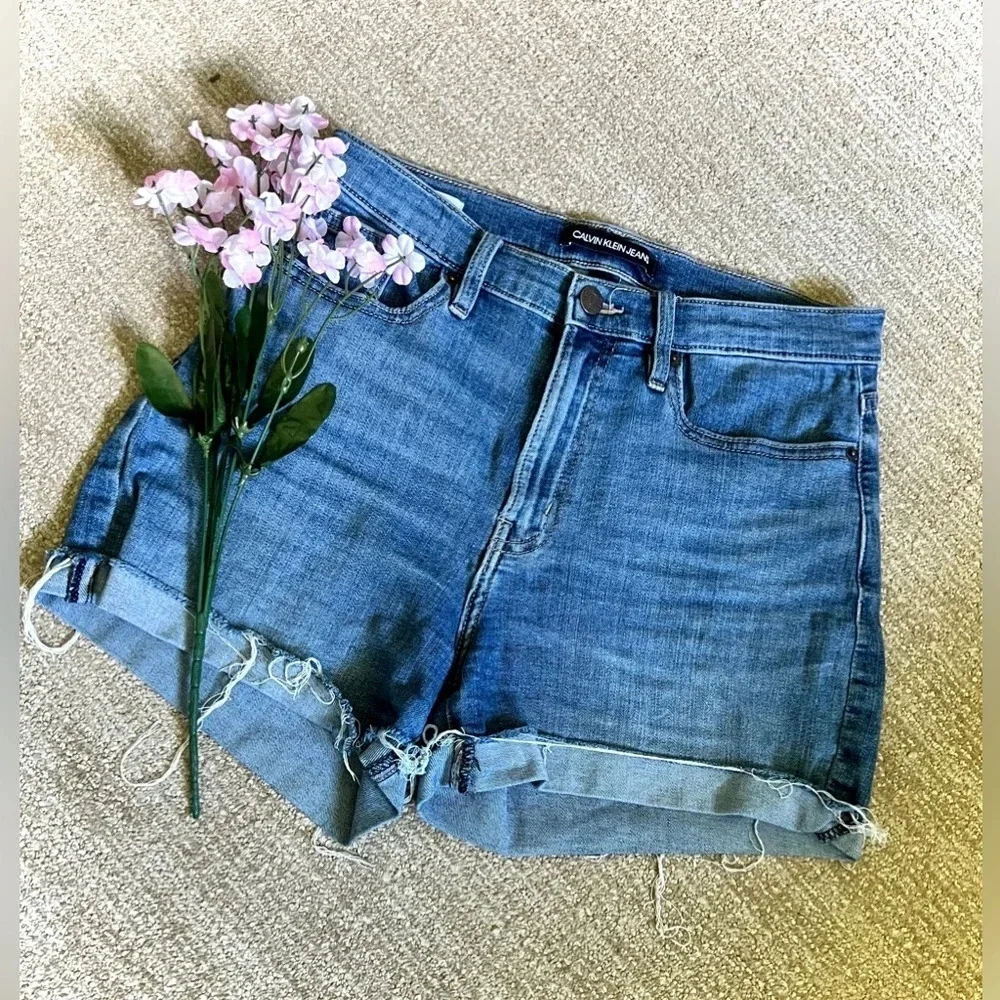 Calvin Klein Jeans Vintage Repreve High Rise Short - Size 4