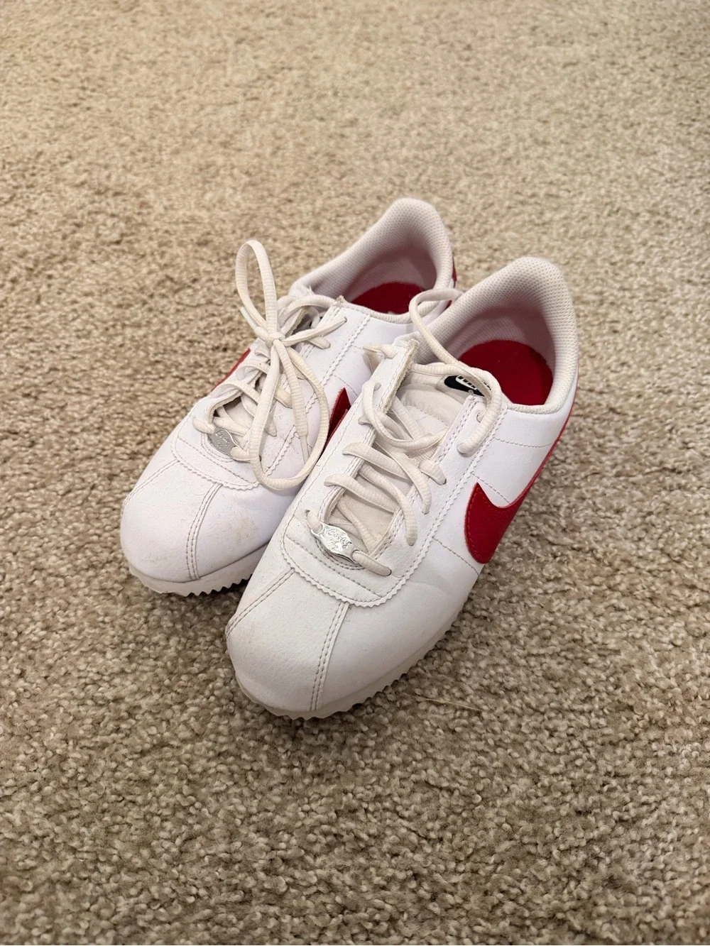 Nike retro low