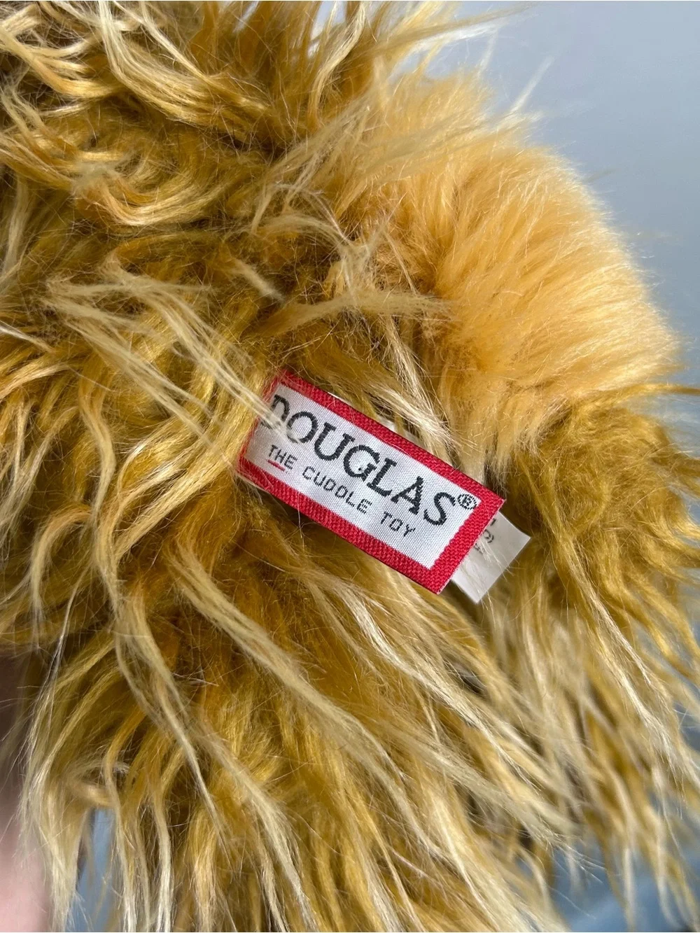 Douglas cream cow