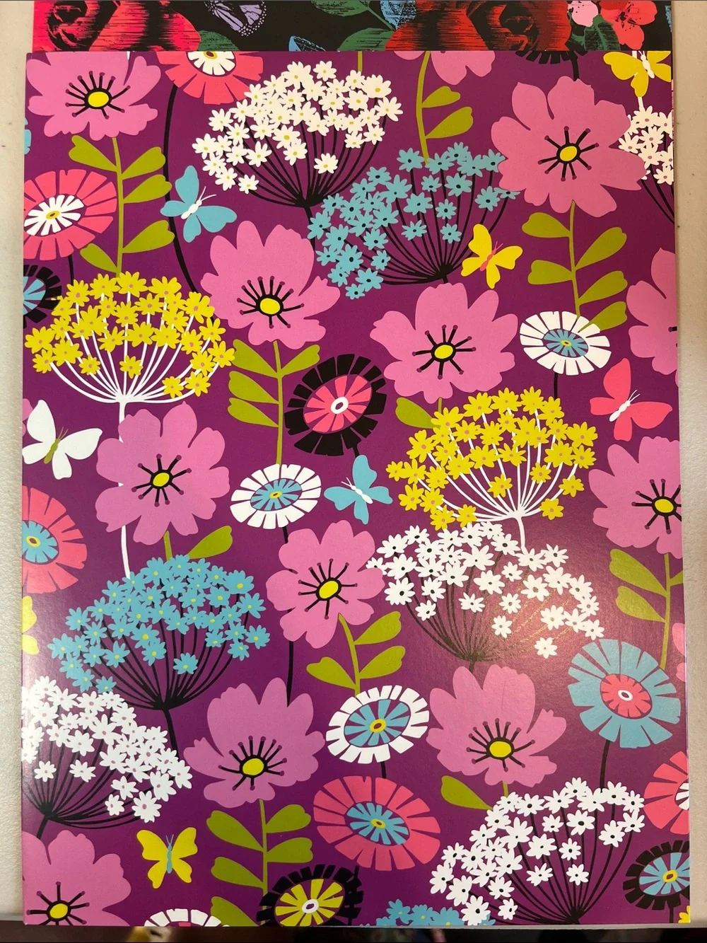 Vera Bradley bradley folders unused