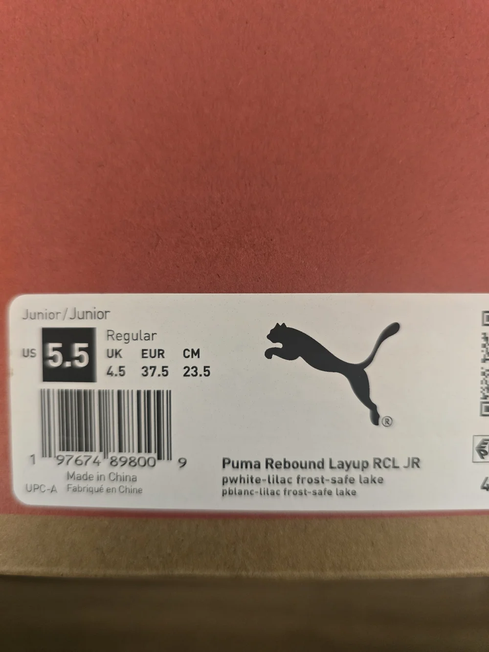 Puma kids high