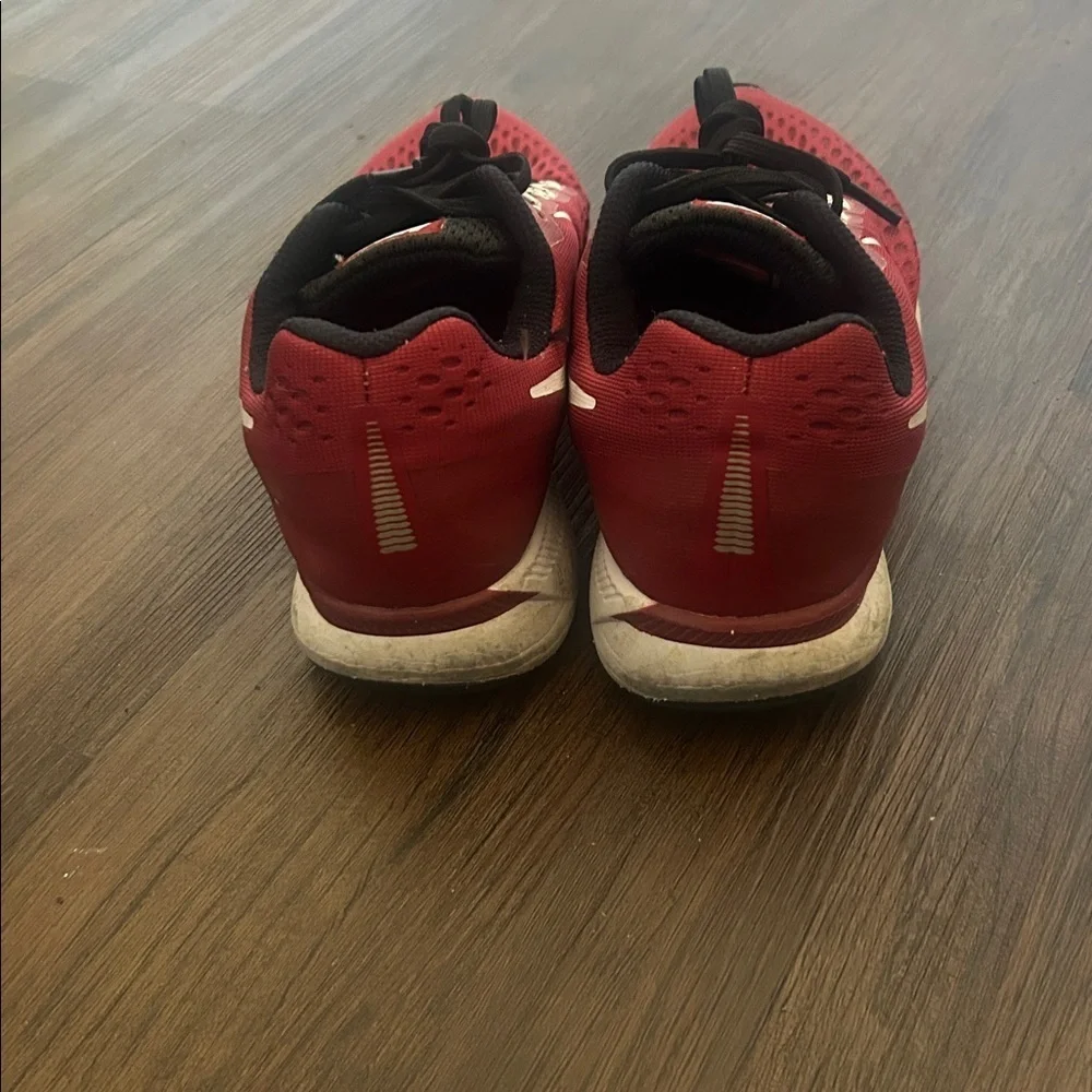 Nike zoom pegasus