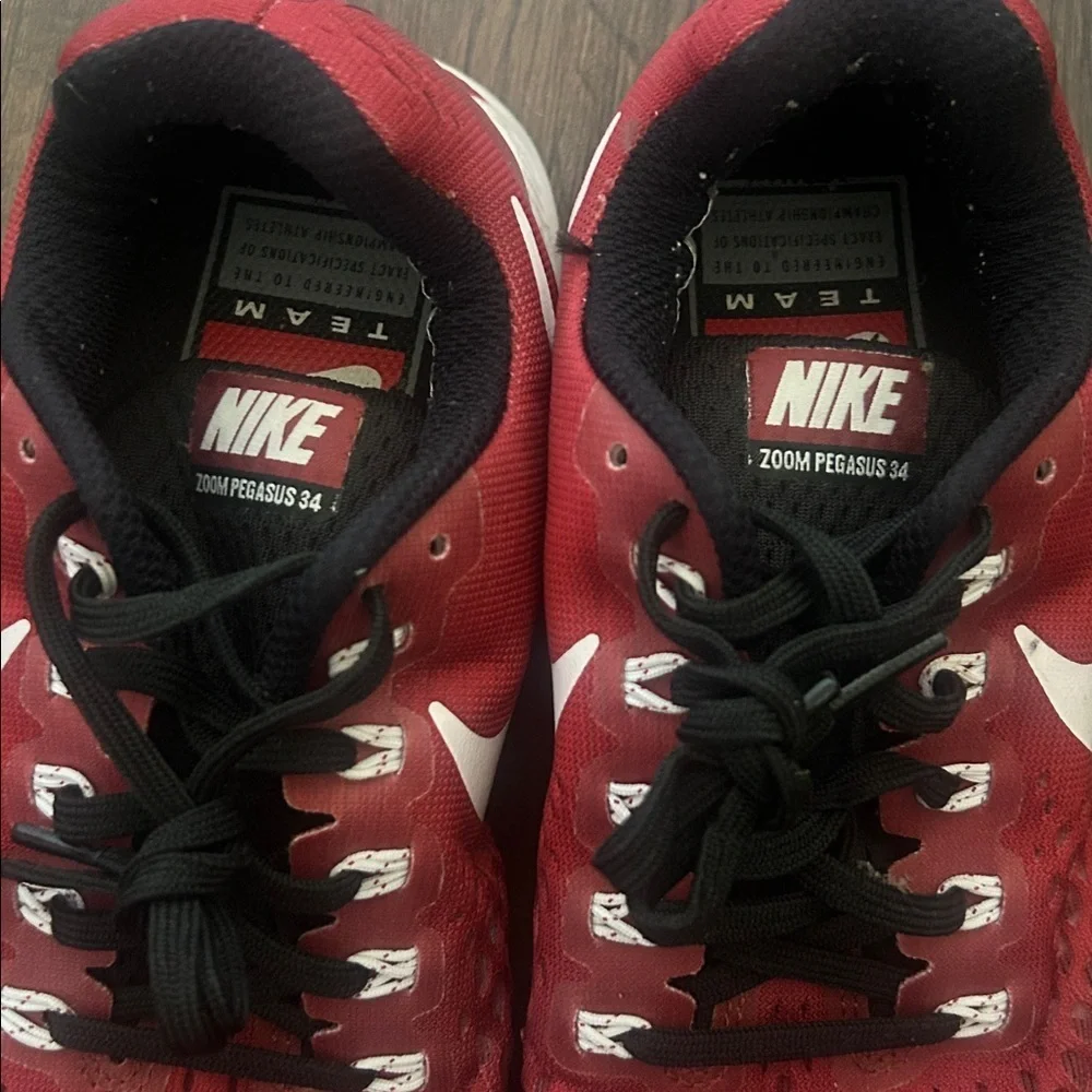 Nike zoom pegasus
