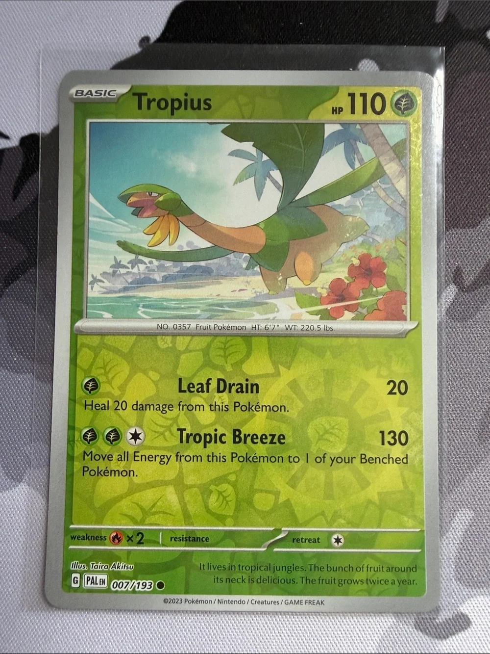 Pokemon tropius pokémon