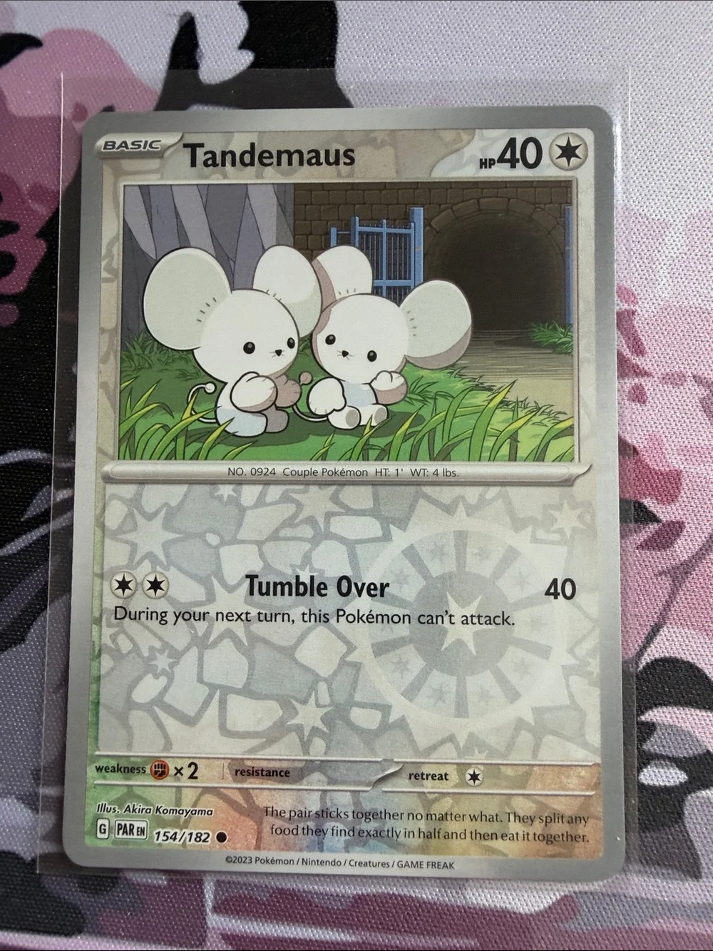 Pokemon tandemaus maushold