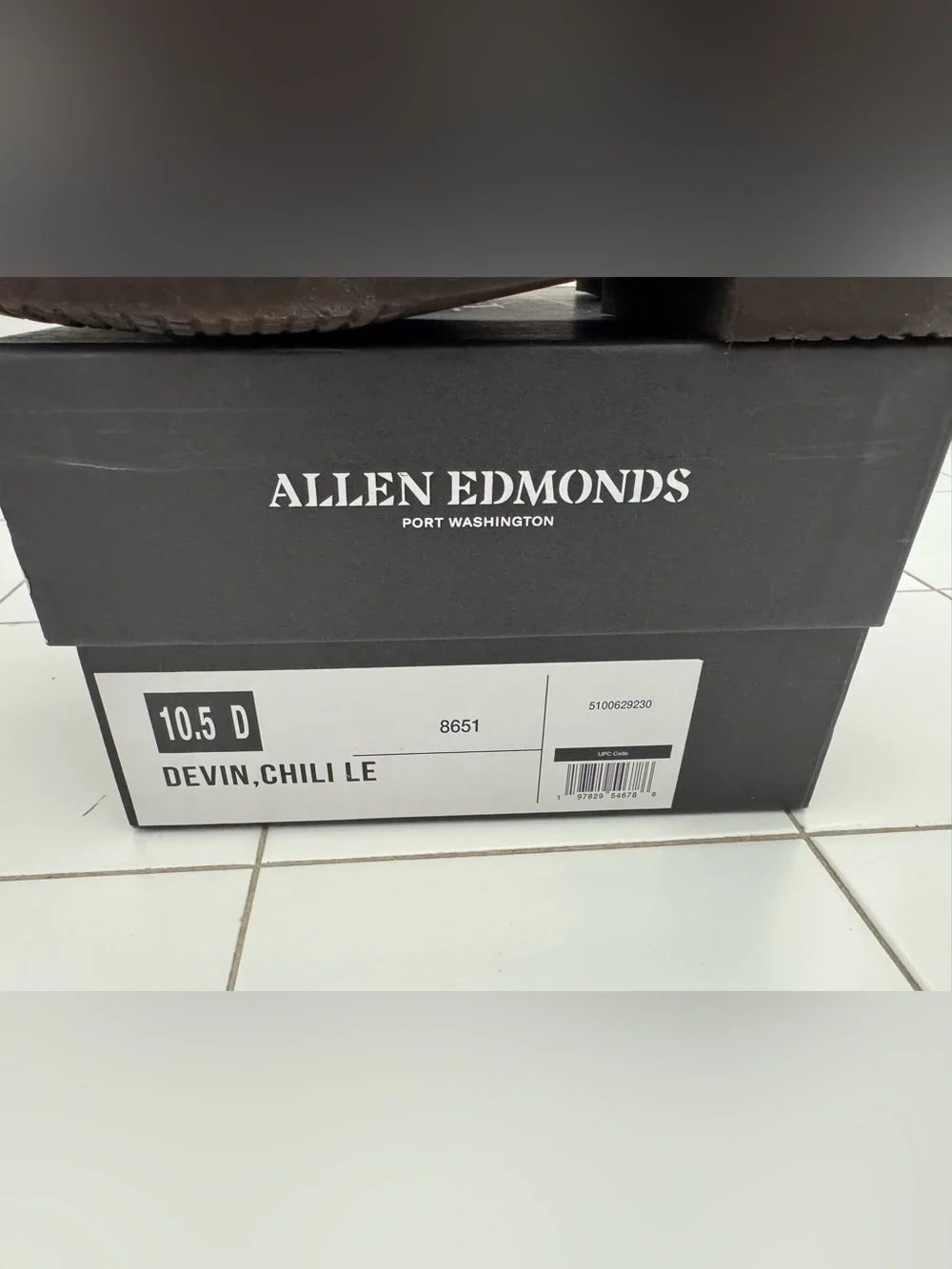 Allen Edmonds sleek plain