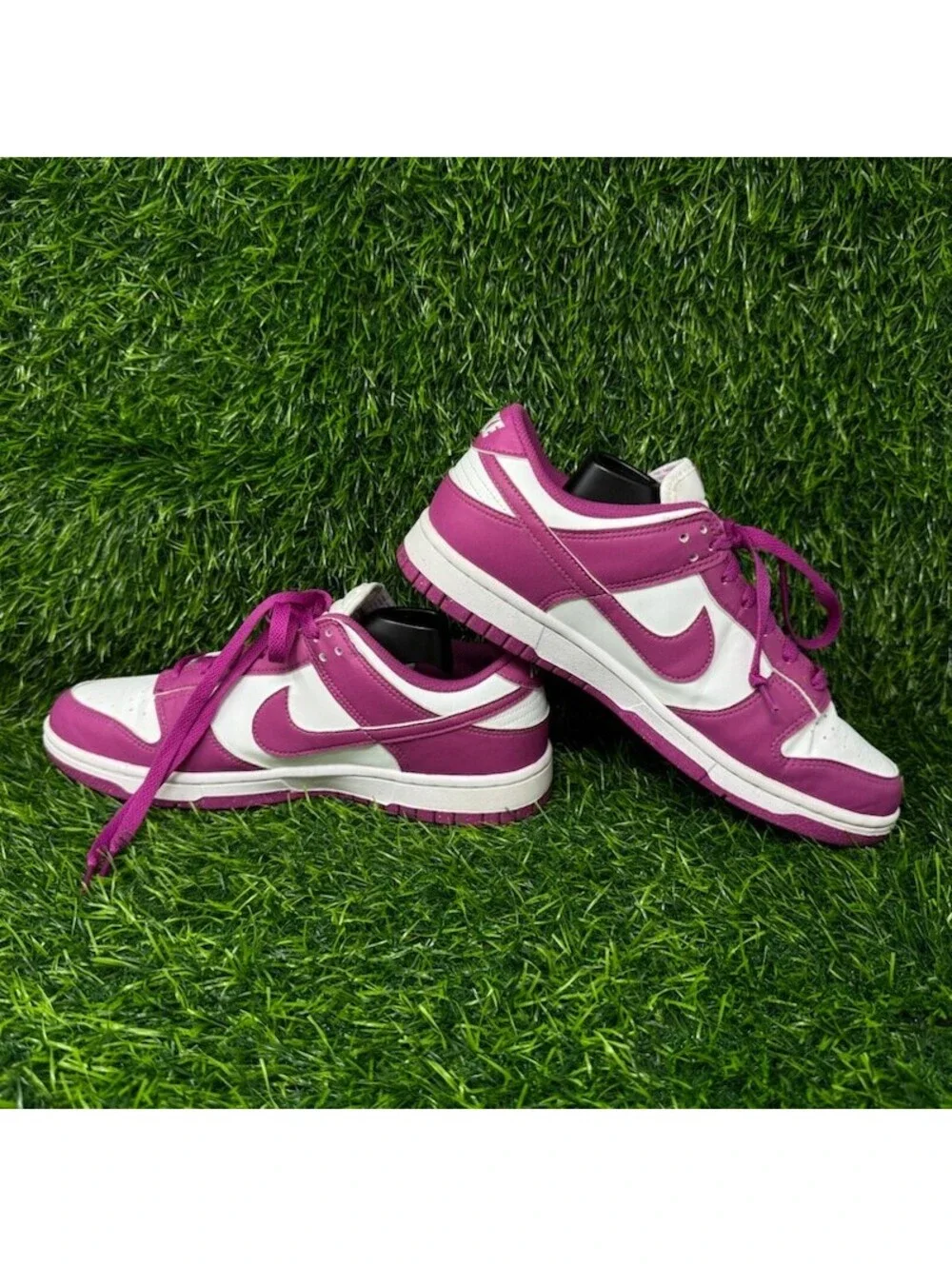 Nike these dunk