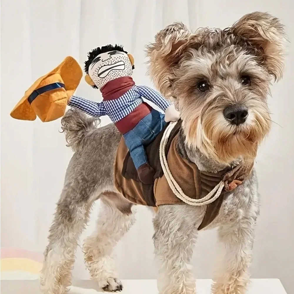 N/A pet fun