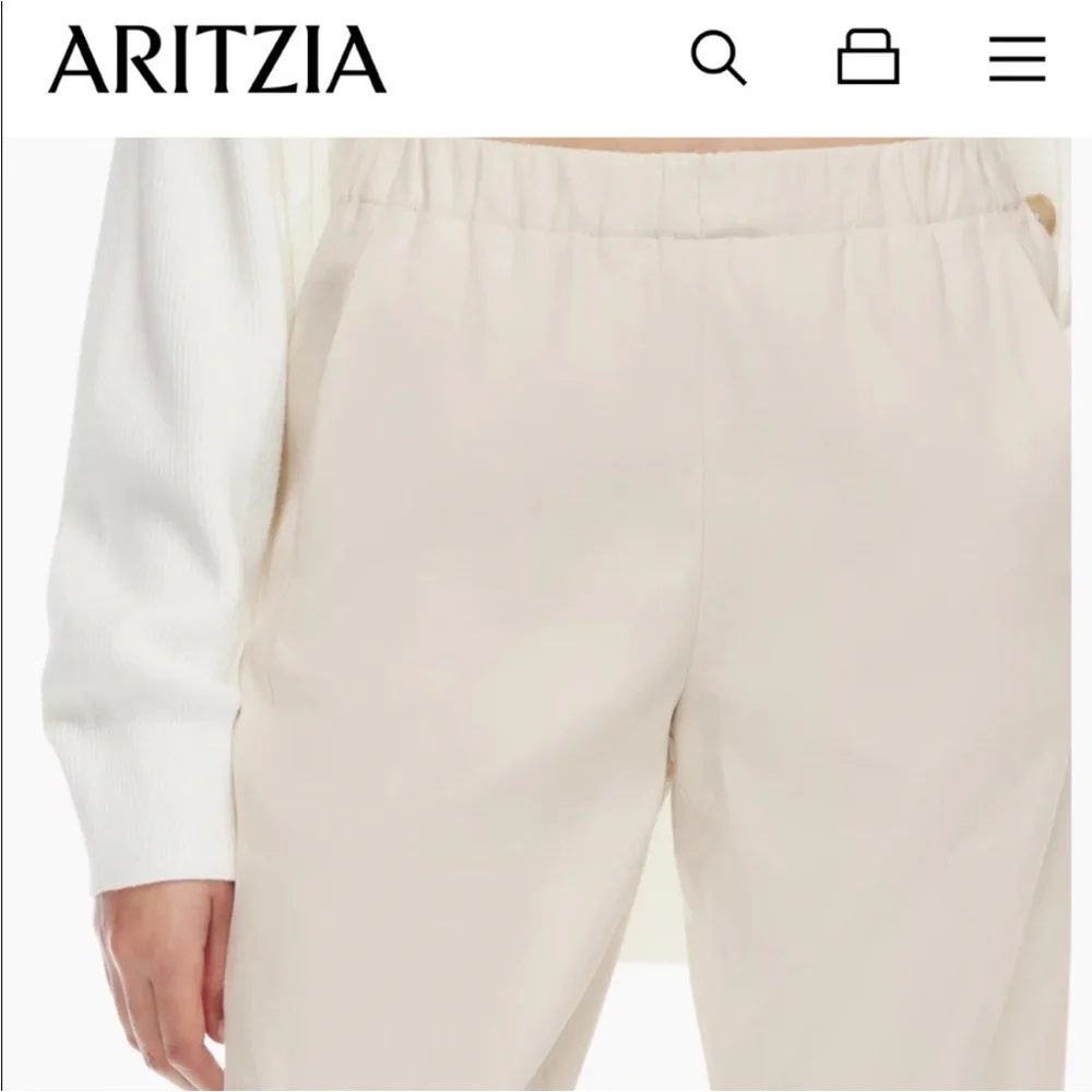 Babaton aritzia dexter