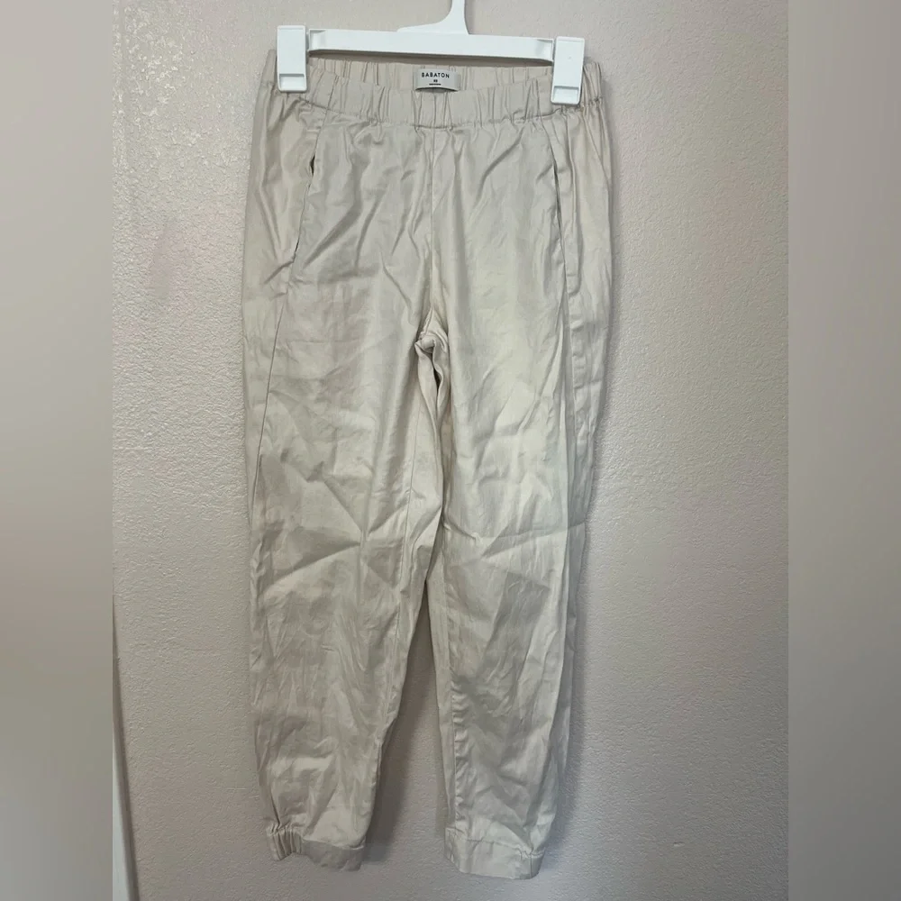Babaton aritzia dexter
