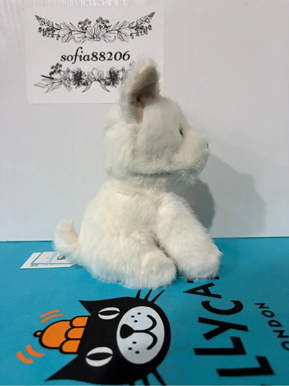 Jellycat pics reused