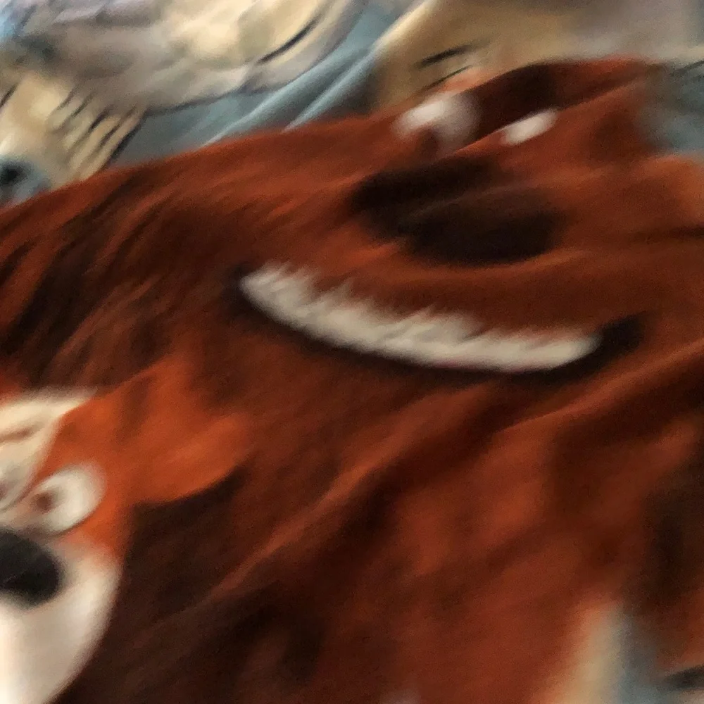 N/A soft plush