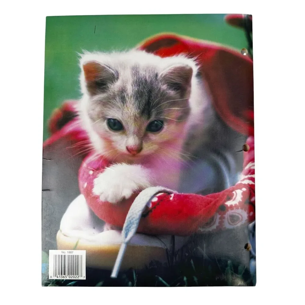 Plymouth Inc. cat cuties