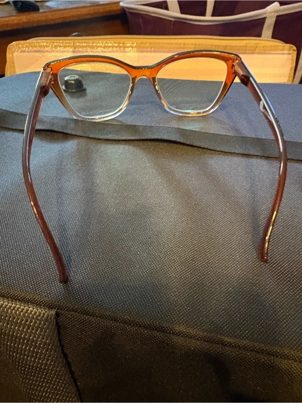 Joy Mangano stylish cat