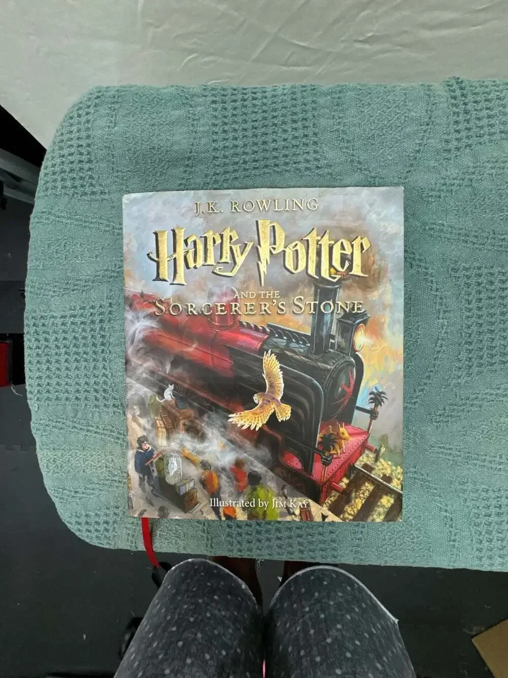 Harry Potter and the Sorcerer's Stone: The Illustrated Edition by J.K. Rowling (
