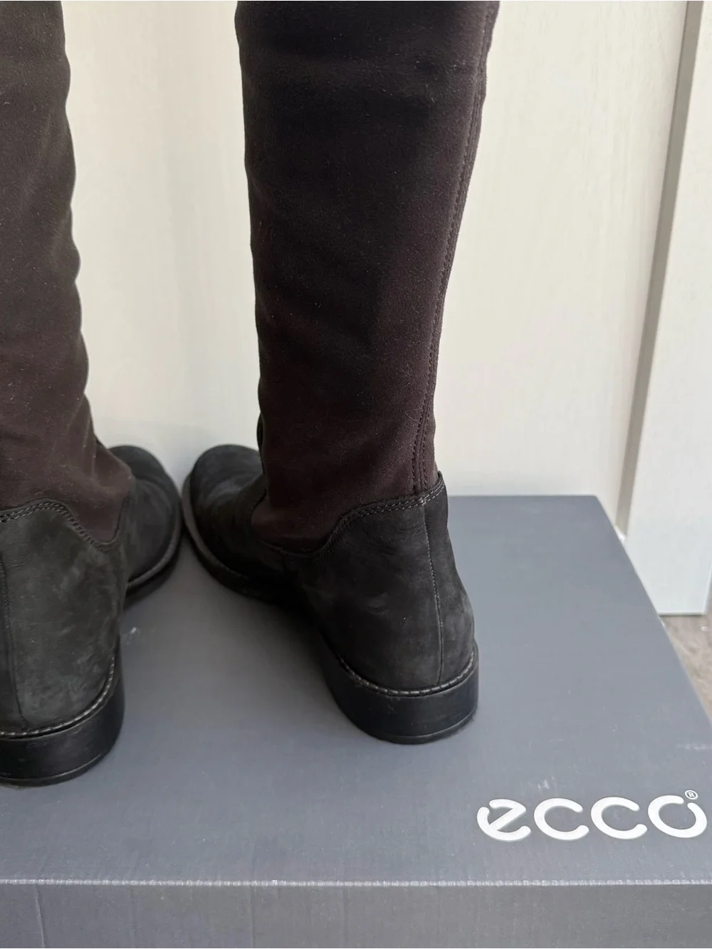 Ecco used twice