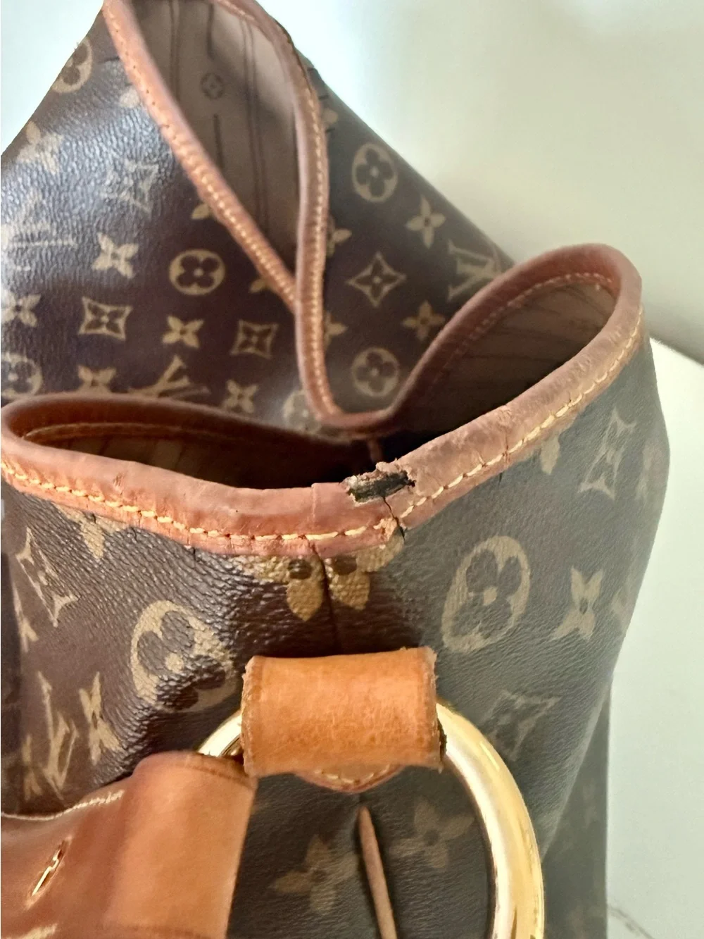 Louis Vuitton authentic louis