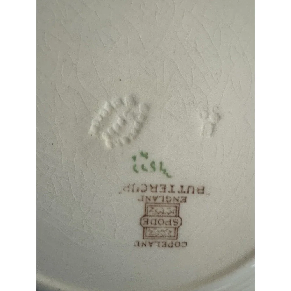 Spode buttercup by