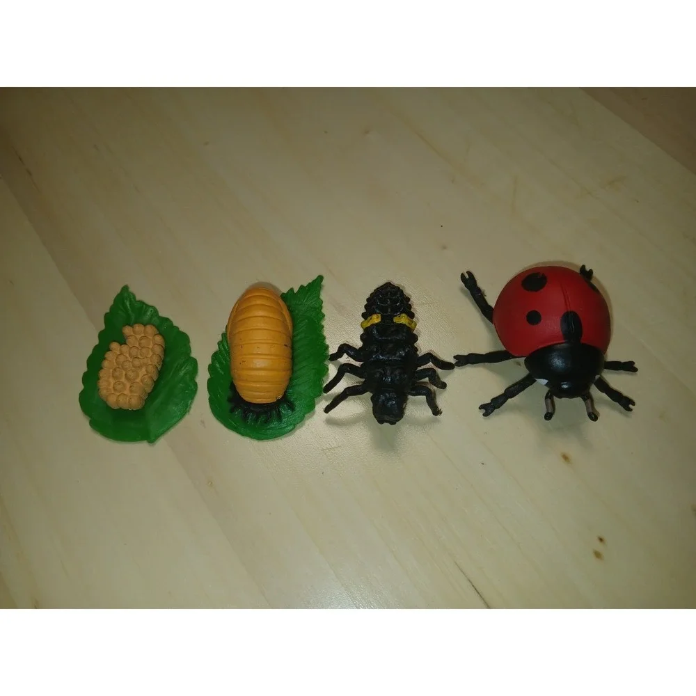 Safari Ltd product set