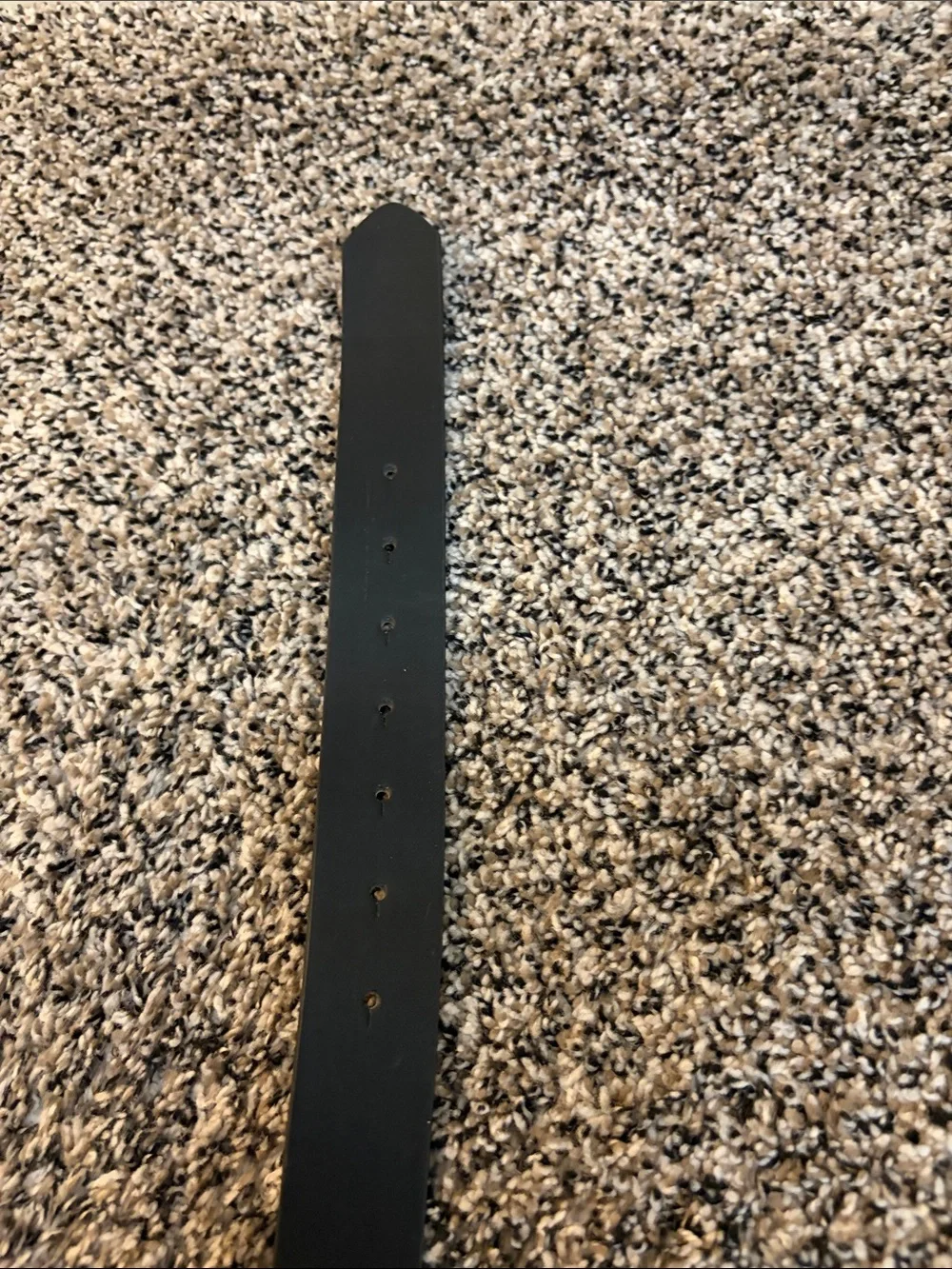 wild fable sleek black