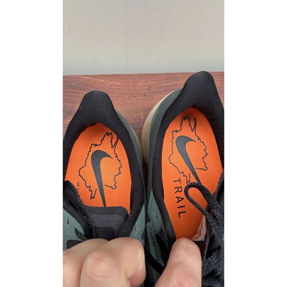 Nike pegasus trail