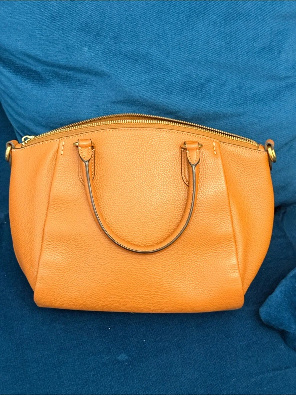 Leather Tote Handbag in Tan
