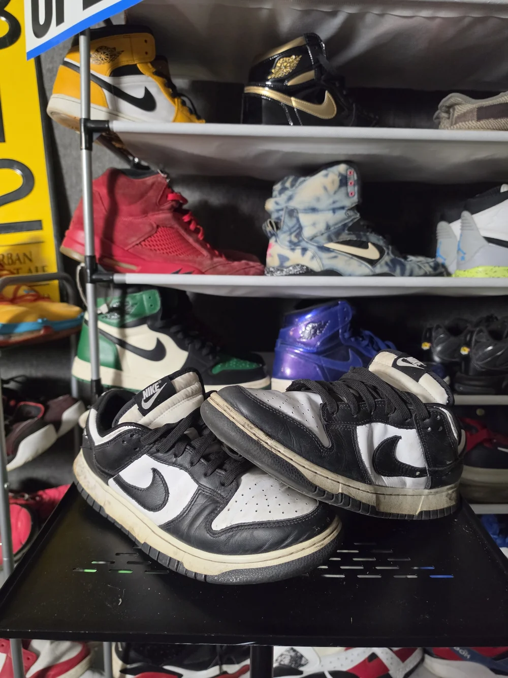 Nike classic dunk
