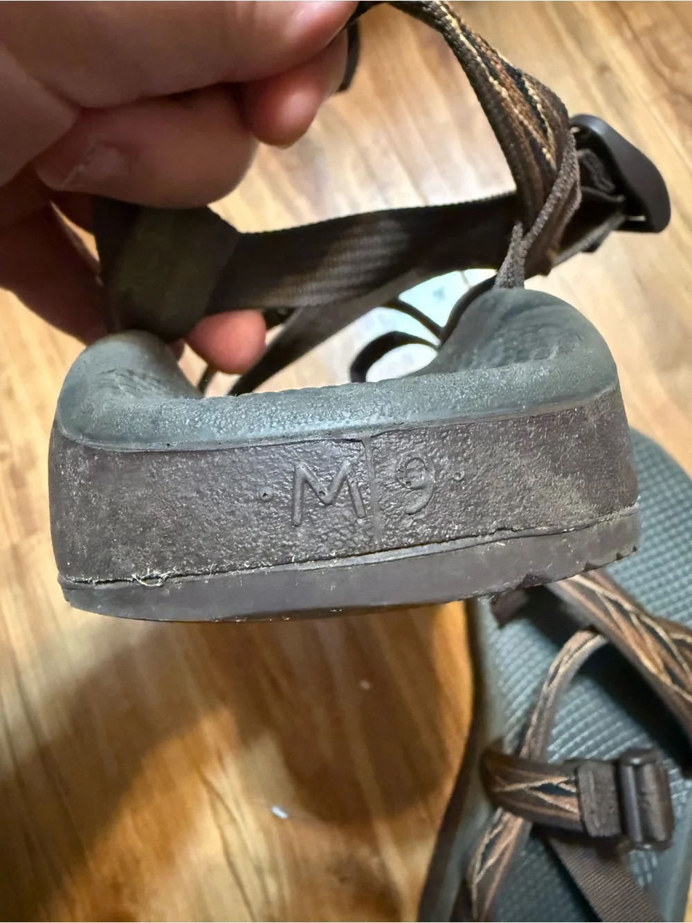 Chaco adjustable webbing
