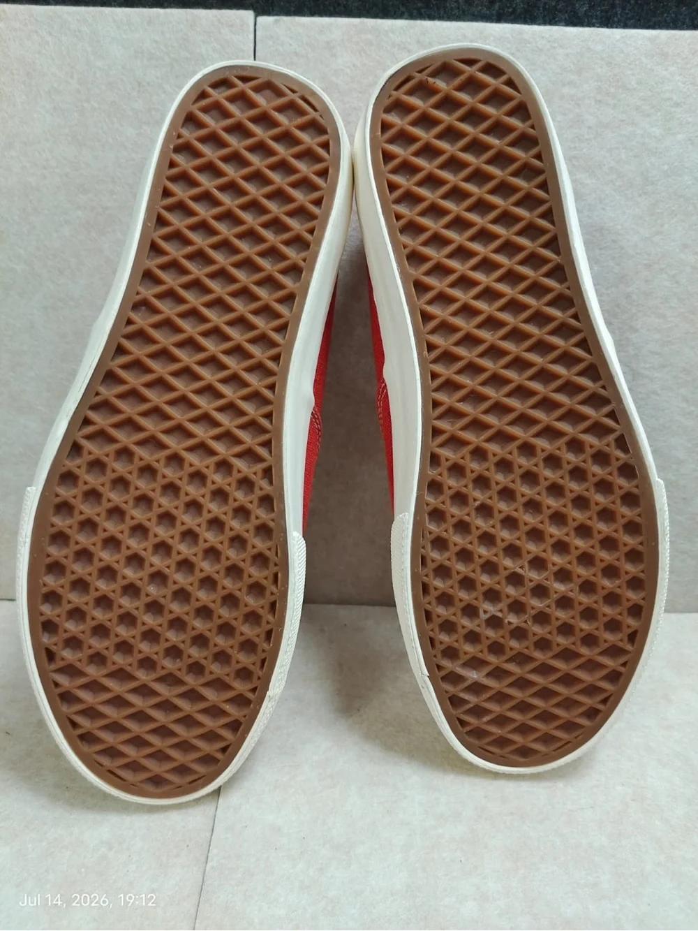 Tailorbyrd nwob coral