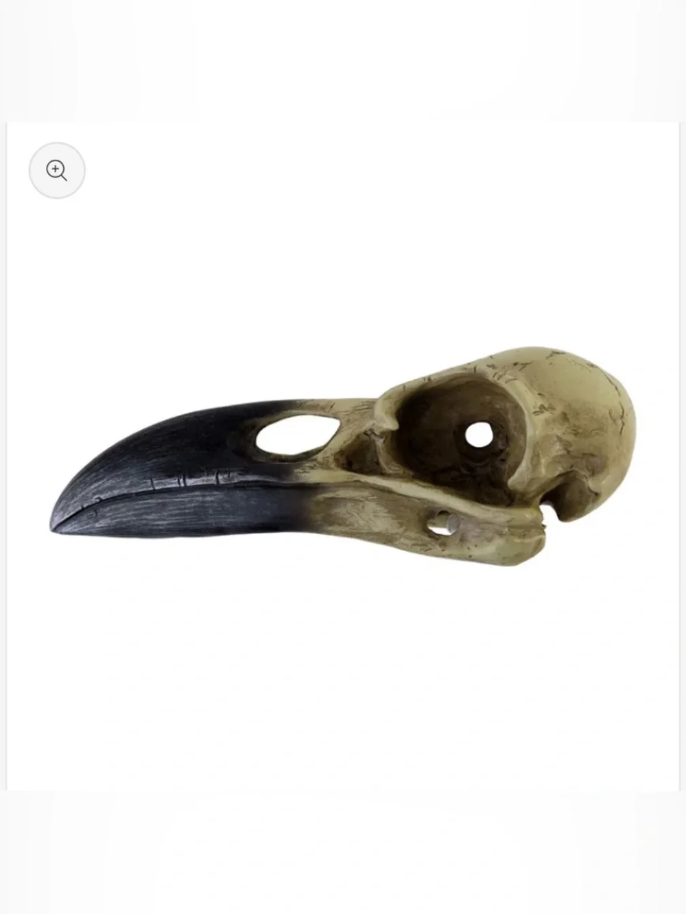 Alchemy Gothic decorative raven