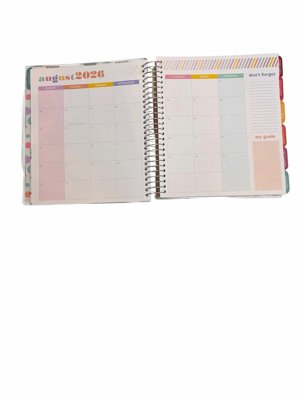 The Creative Expert Pink & Blue Axolotl 17-Month Planner 8/26 - 12/27