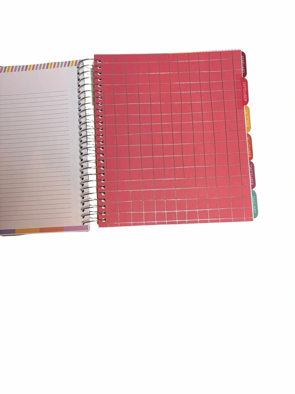 The Creative Expert Pink & Blue Axolotl 17-Month Planner 8/26 - 12/27