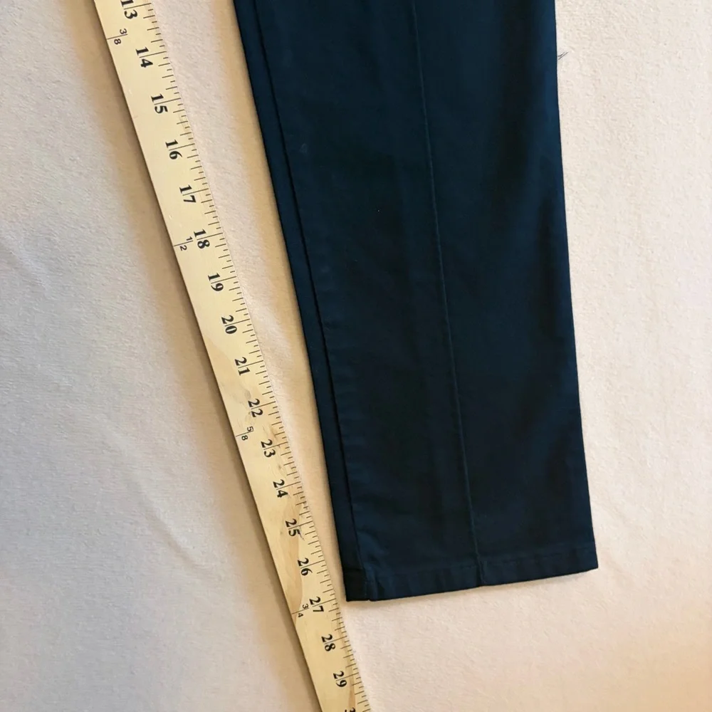 Zanerobe drawstring pants