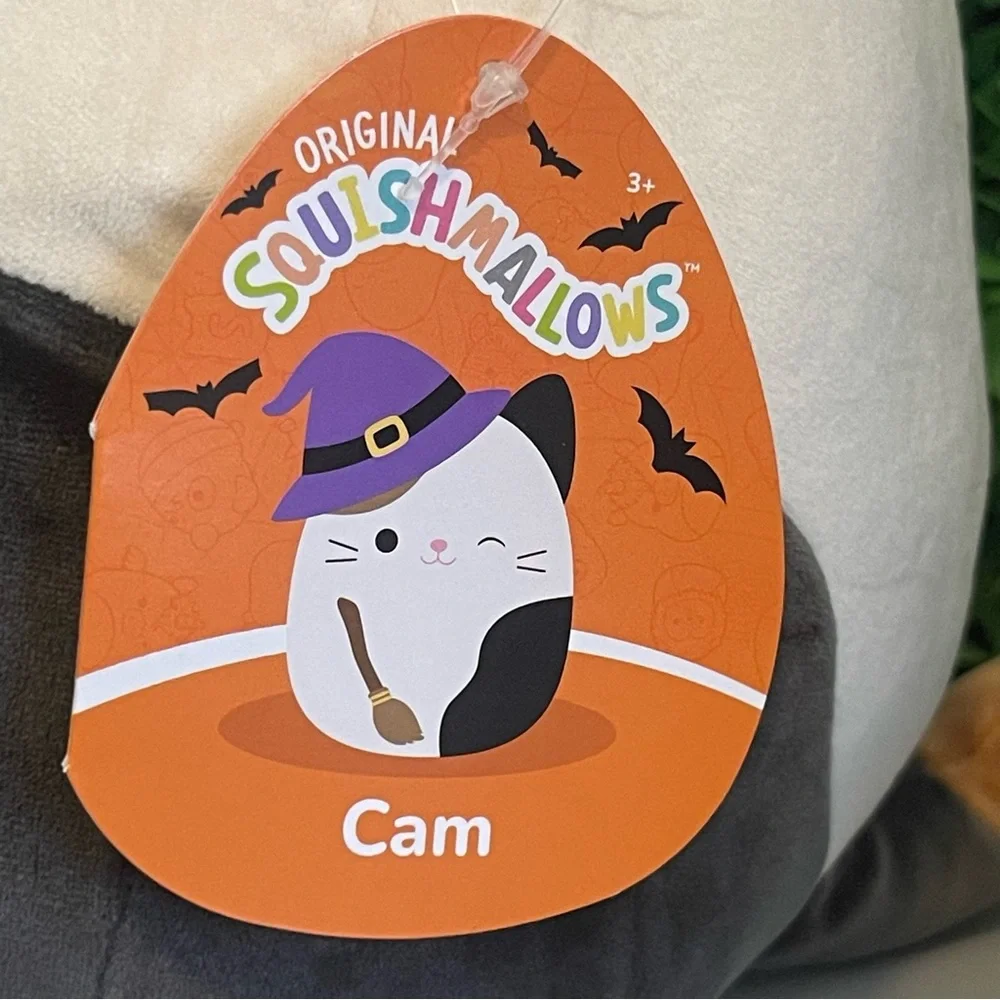 Cam the Cat Witch Winking w Broomstick/ Hat Halloween Squishmallows 8