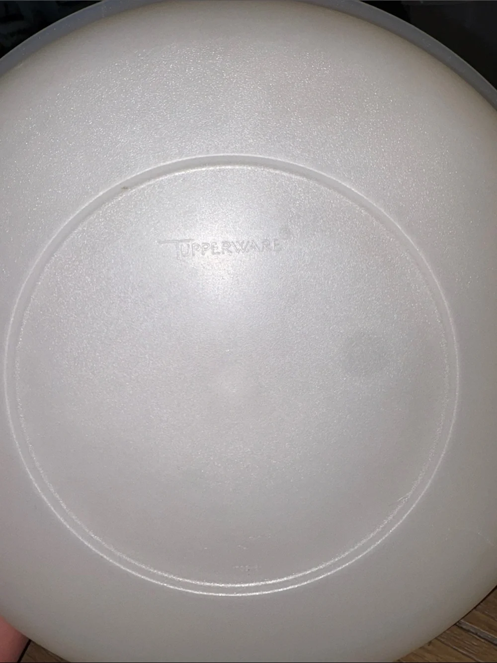Tupperware #1708 sectioned