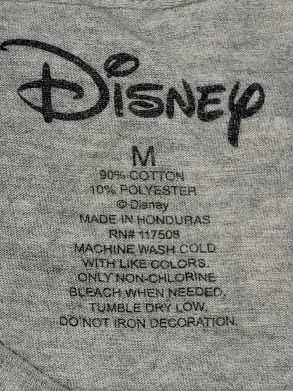 Disney holiday graphic