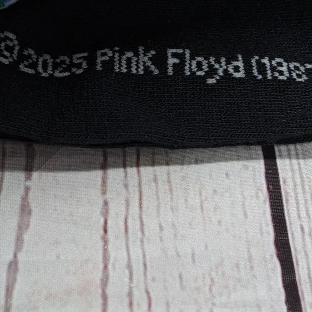 Pink Floyd monitored made
