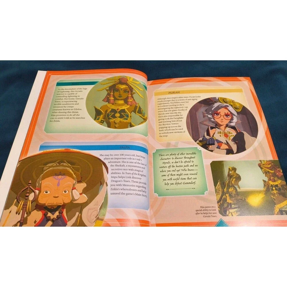 Nintendo book has