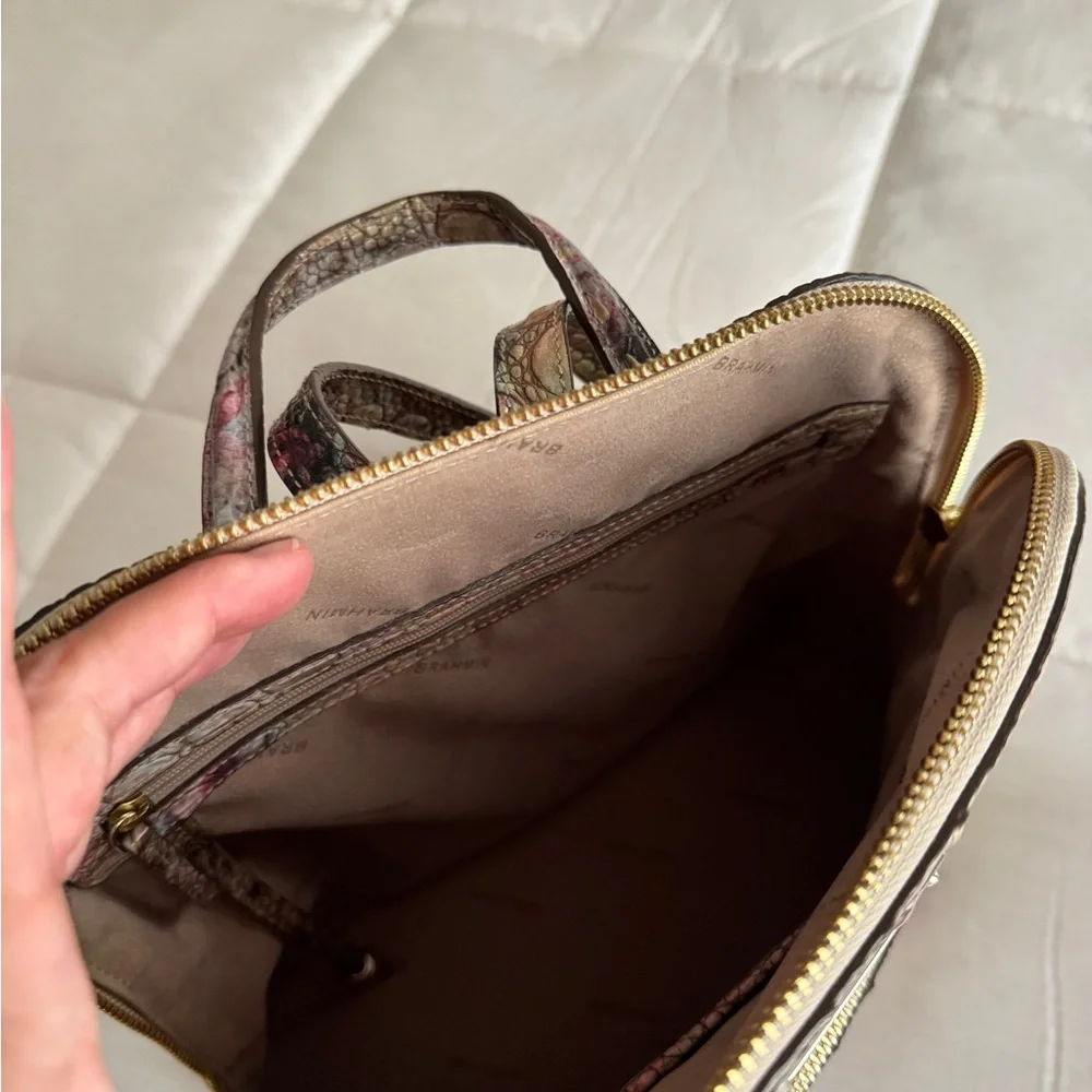 Brahmin iridescent croc