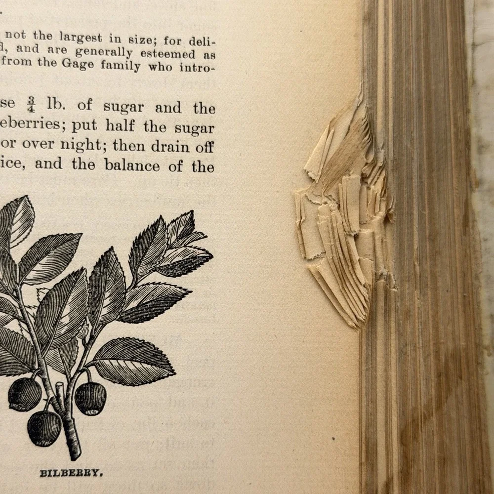N/A description antique