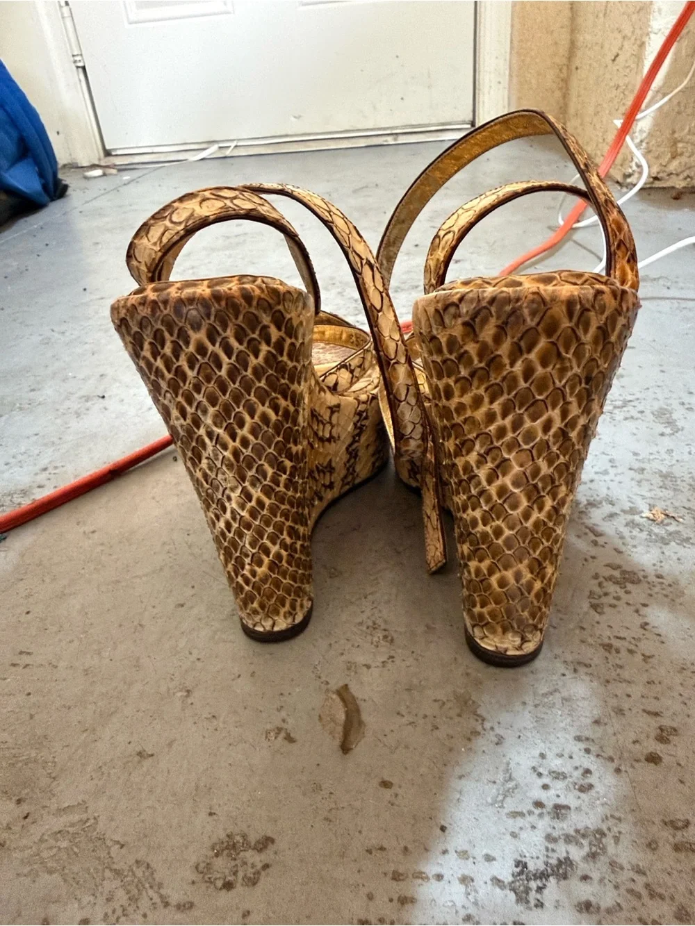 Dolce & Gabbana dolce gabbana