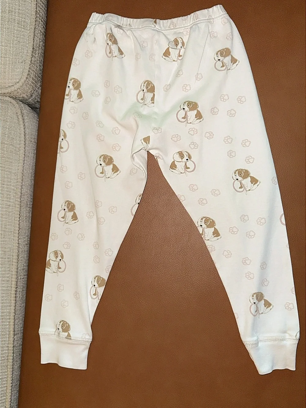 Petidoux pristine puppy