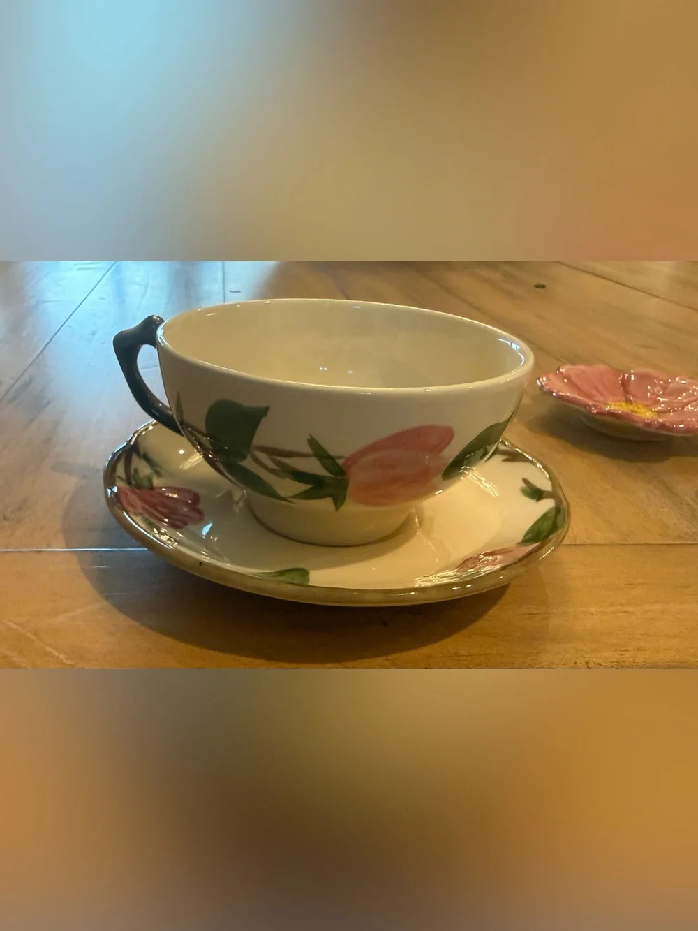 Franciscan desert rose
