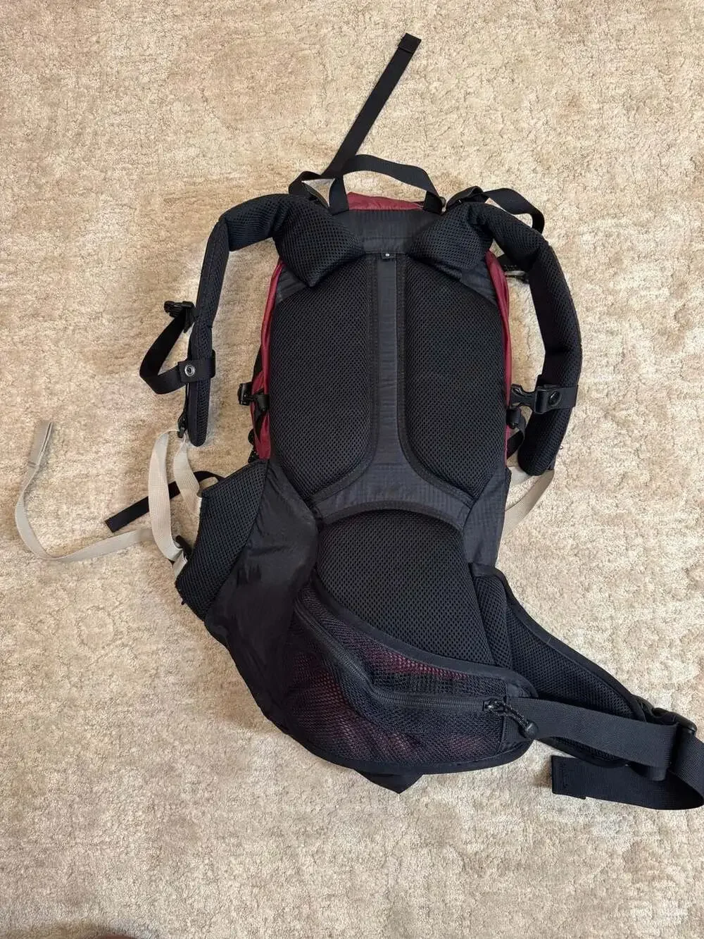 Gregory iris daypack