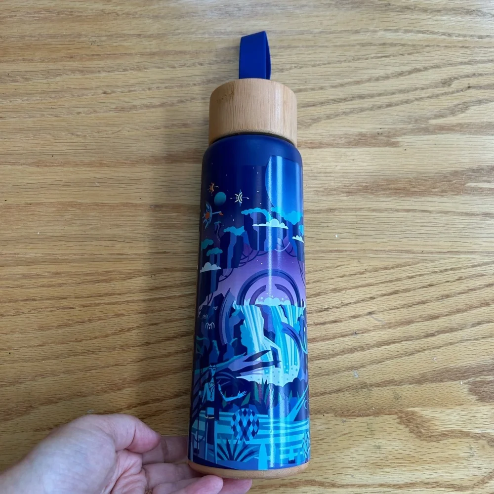 Disney this water