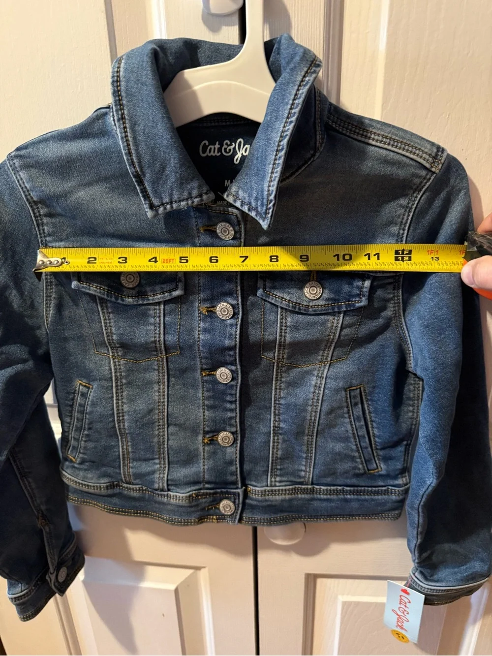 Cat & Jack nwt cat