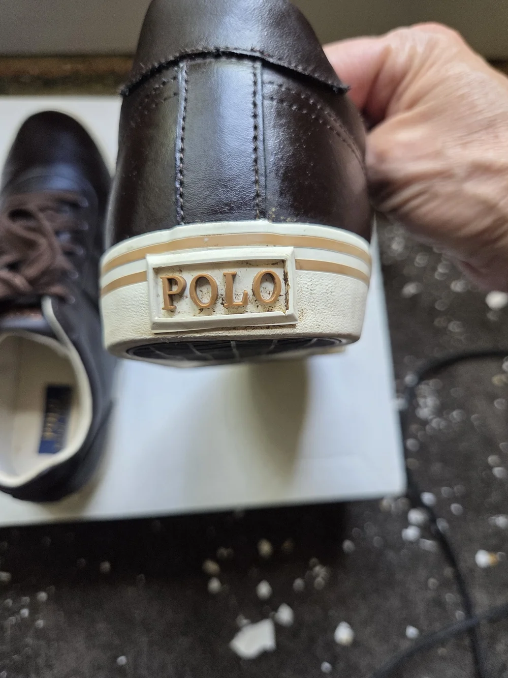 Polo Ralph Lauren size 13d