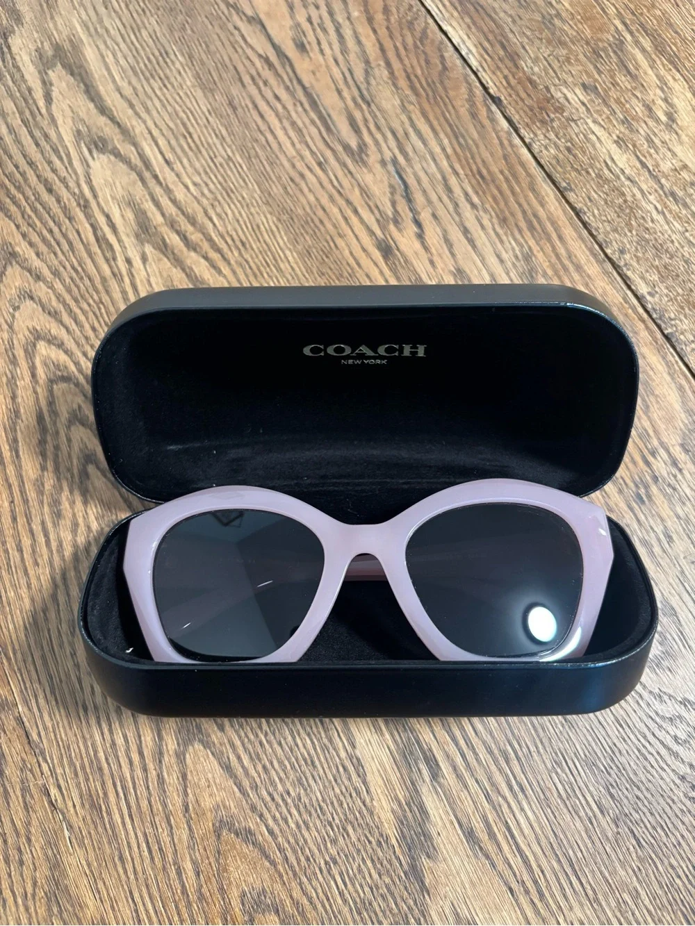 Coach stylish cat